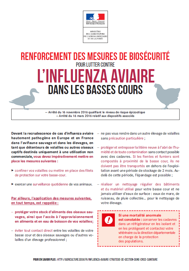 Quelques mises en garde concernant l'influenza aviaire